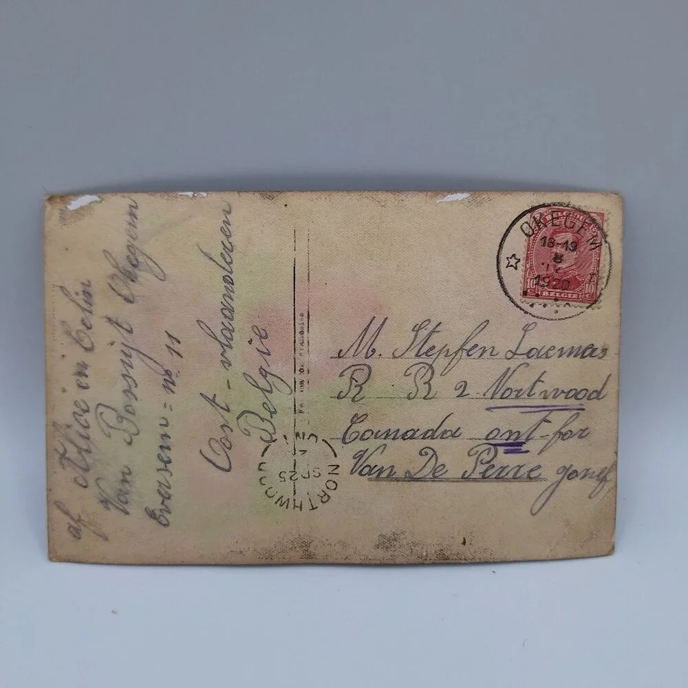 Antique‎ REX 619 Floral Postcard Sepia Botanical Art Belgium Postmark Brown Aged